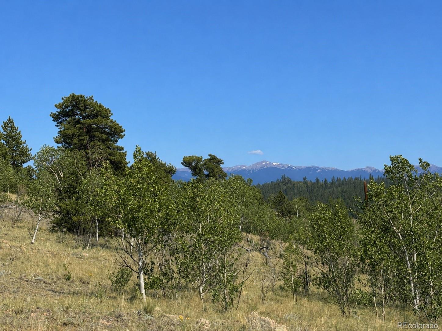 250 Pinto Trl, Como, CO 80432