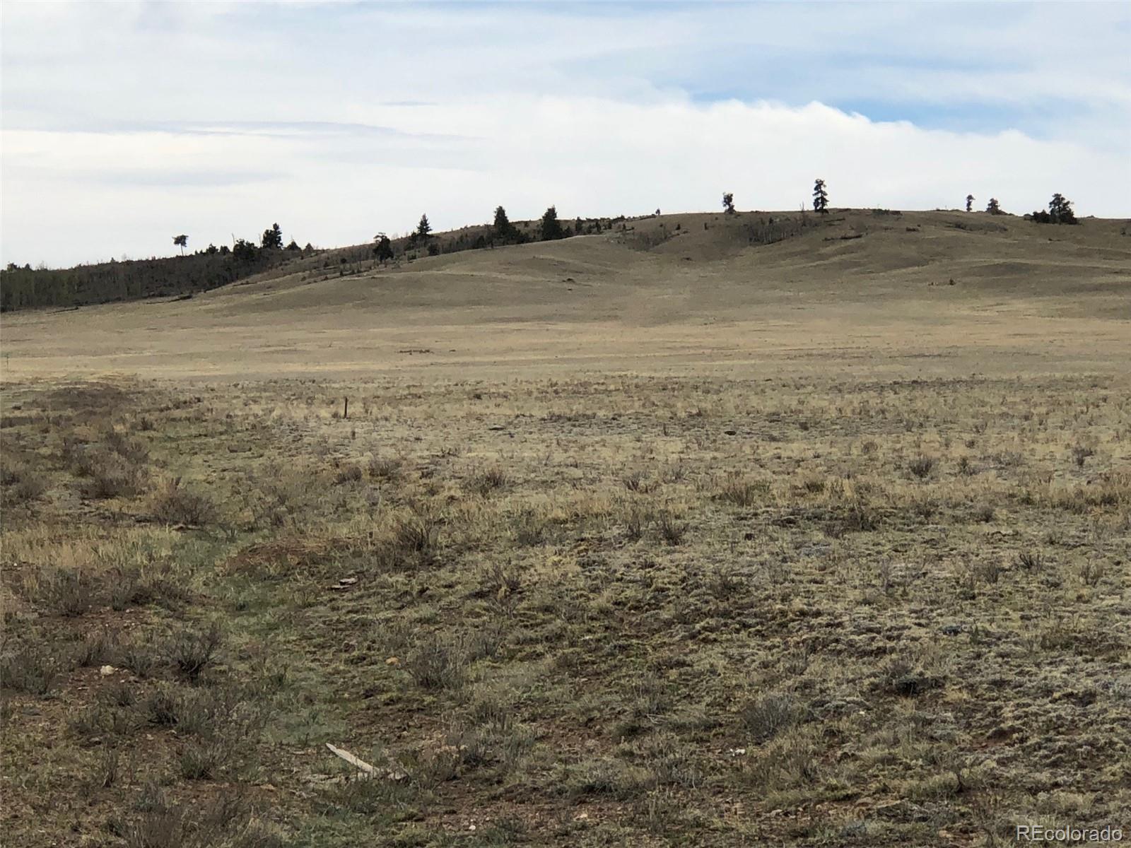 000 Black Beaver Cir, Hartsel, CO 80449