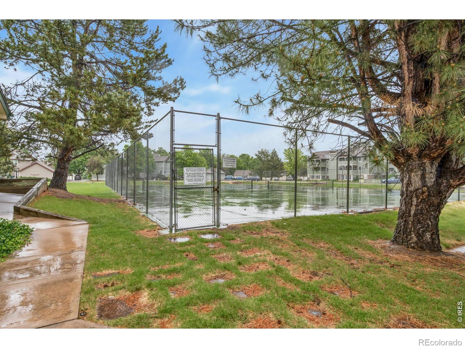 2828 Silverplume Dr #C1, Fort Collins, CO 80526