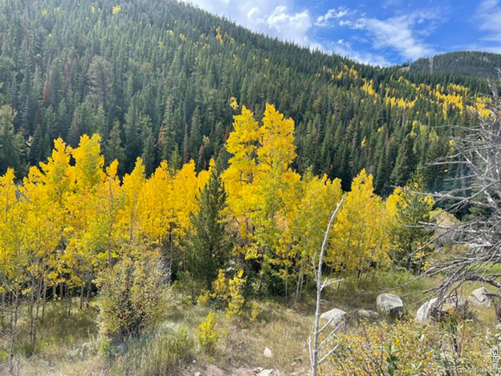 3894 Fourth Of July Rd, Nederland, CO 80466