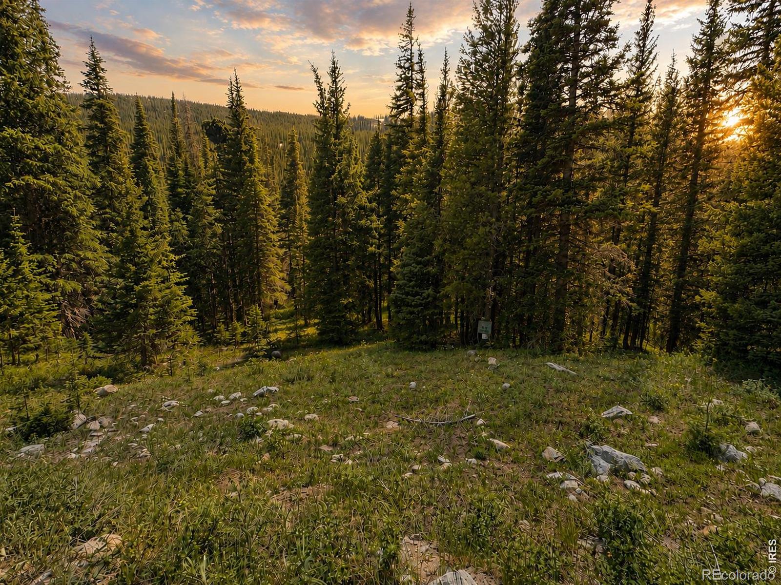 3894 Fourth Of July Rd, Nederland, CO 80466