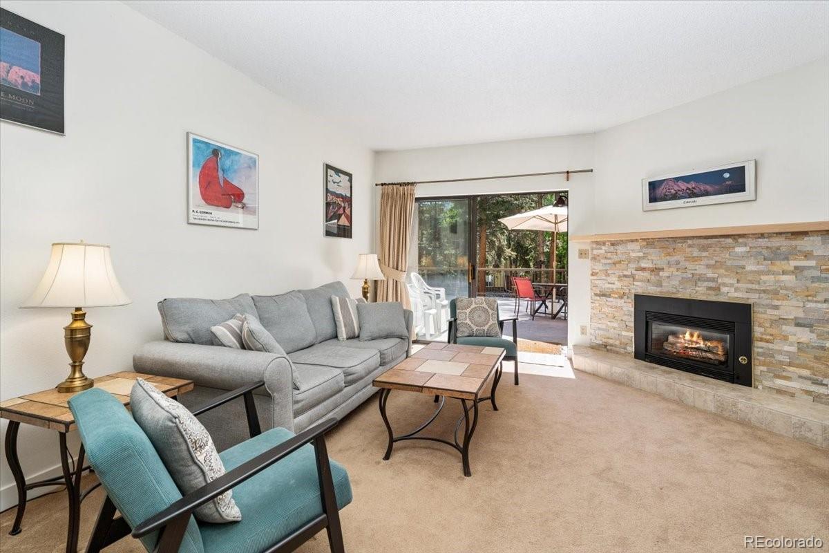 720 Columbine Rd #104, Breckenridge, CO 80424