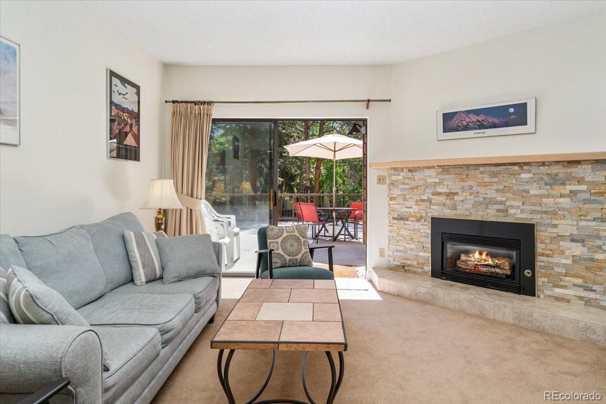 720 Columbine Rd #104, Breckenridge, CO 80424