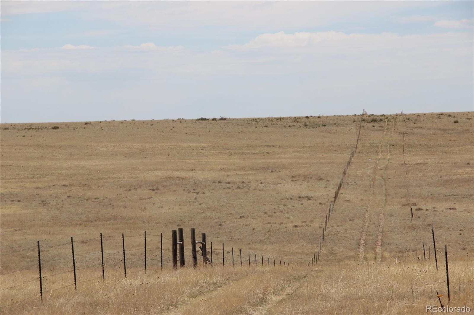 County Road 133, Simla, CO 80835