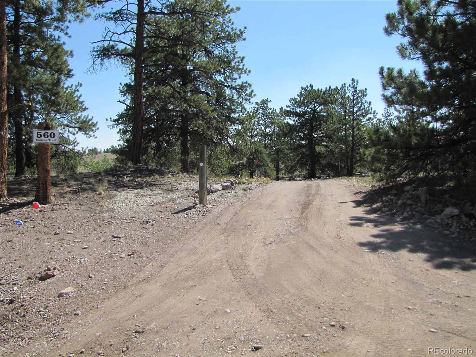 560 Concho Trl, Hartsel, CO 80449