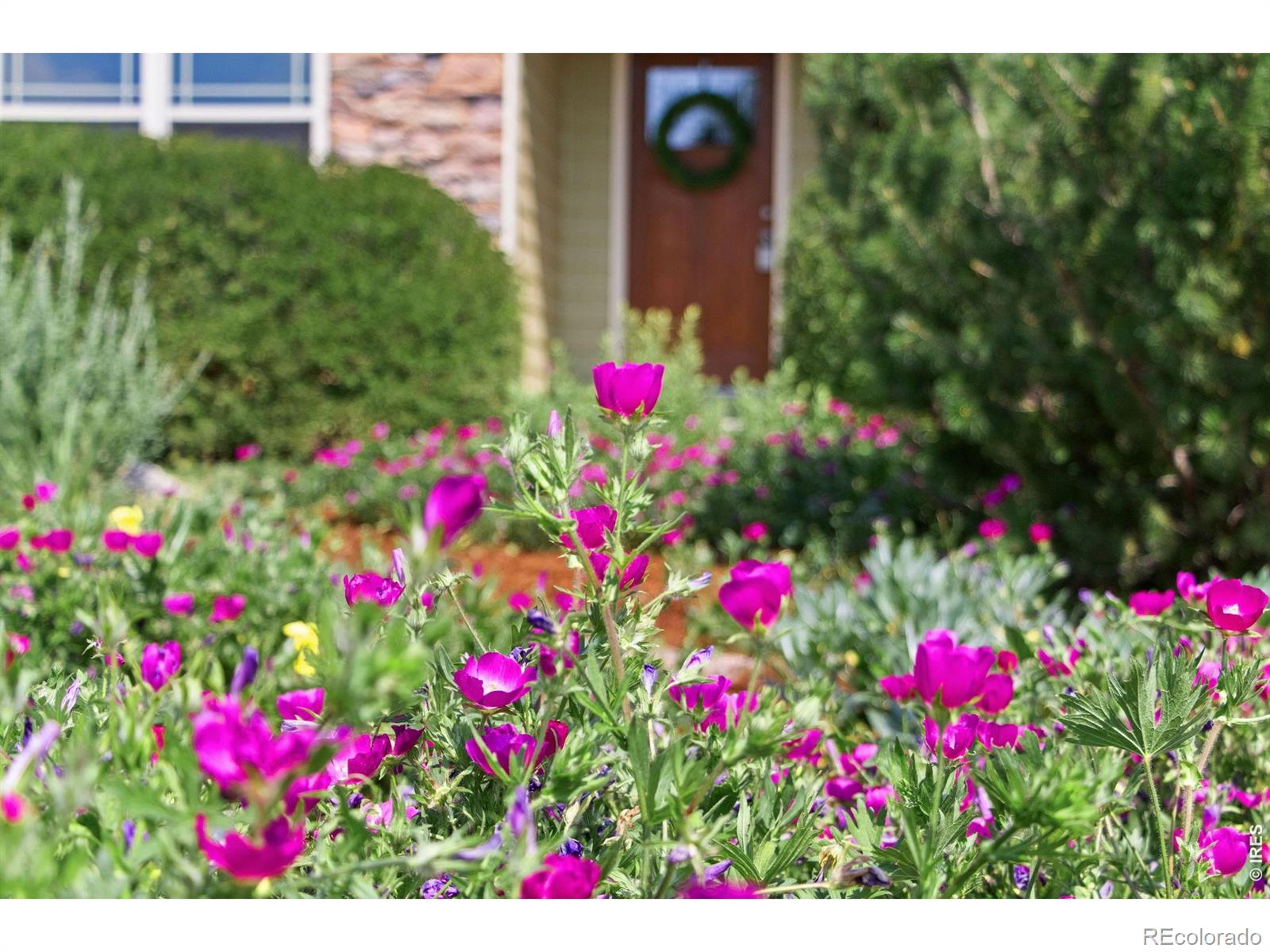 4226 Rolling Gate Rd, Fort Collins, CO 80526