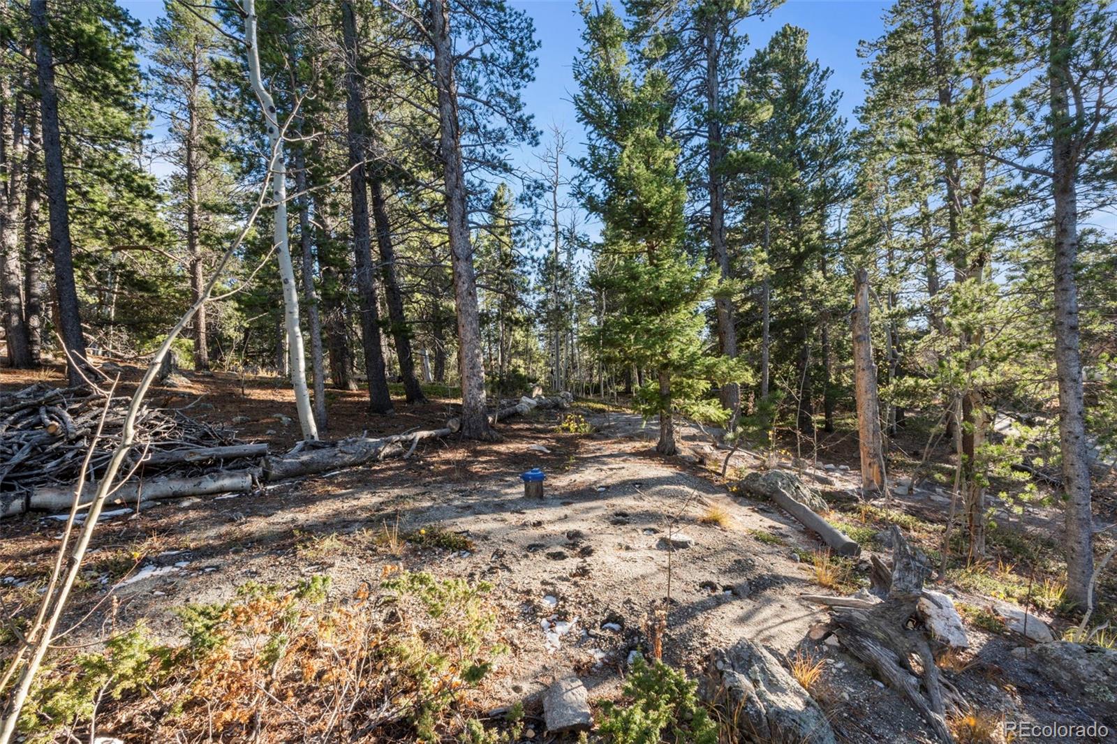 00 Severance Lodge Rd, Black Hawk, CO 80422