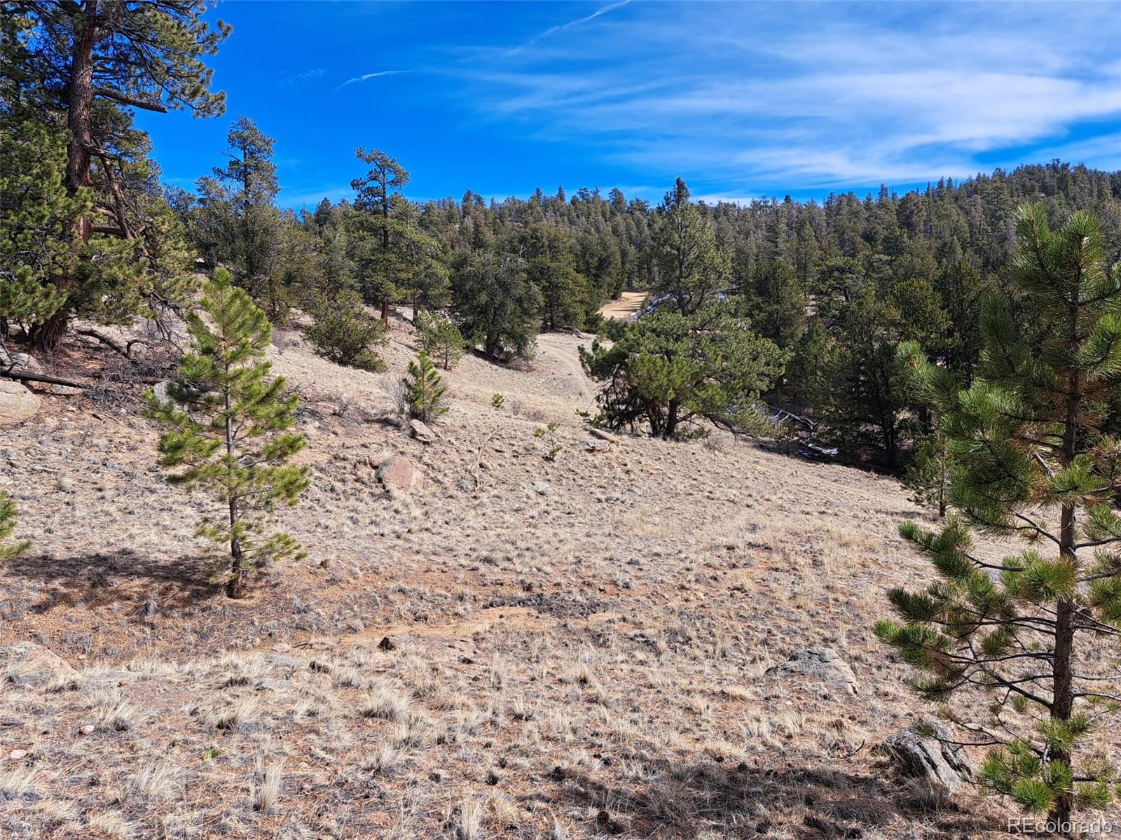 369 Summit Rd, Hartsel, CO 80449