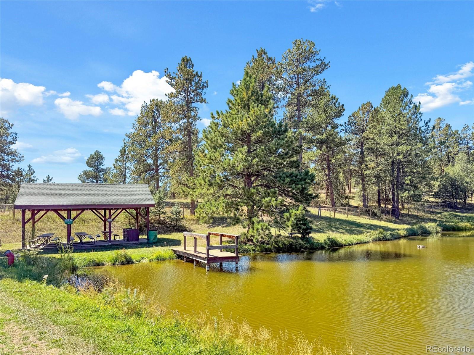 21556 Spring Creek Rd, Buffalo Creek, CO 80425