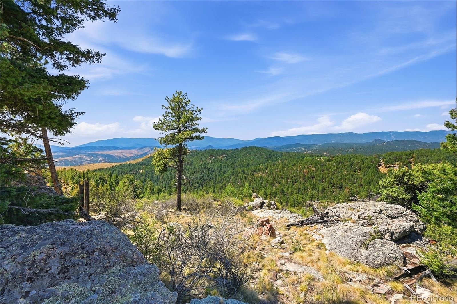 33550 Mount Wilson Rd, Pine, CO 80470