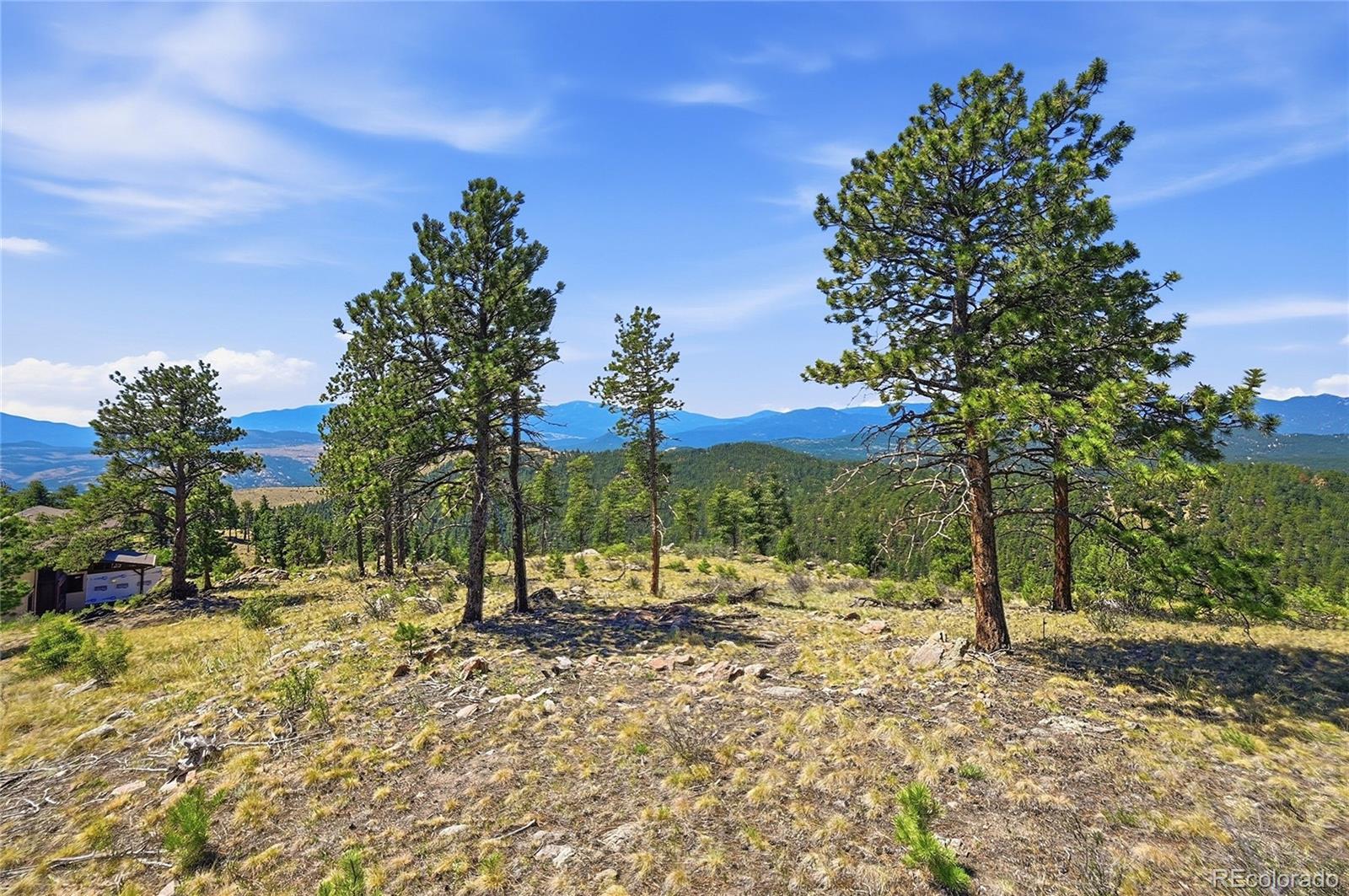 33550 Mount Wilson Rd, Pine, CO 80470