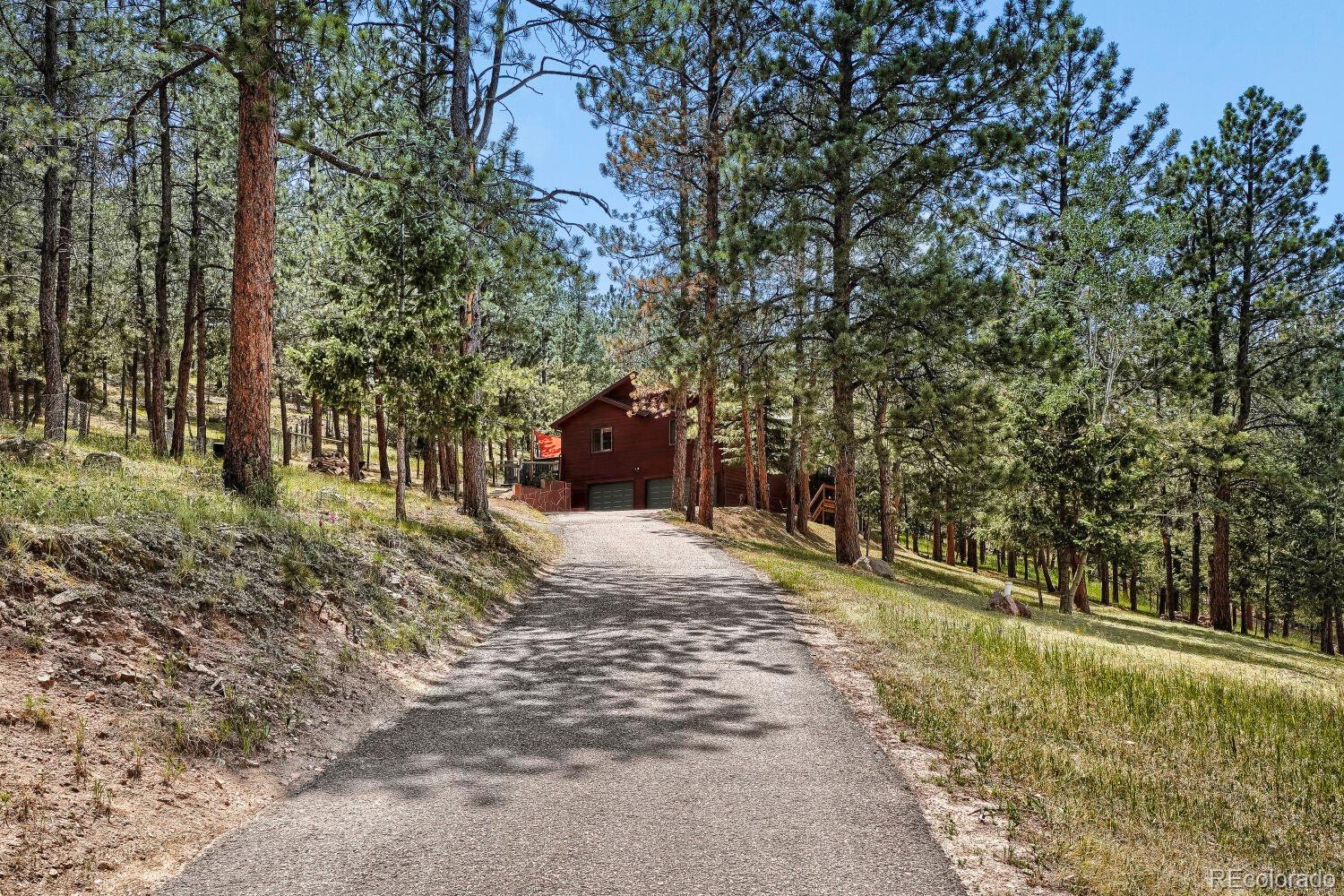 715 Mockingbird Trl, Bailey, CO 80421