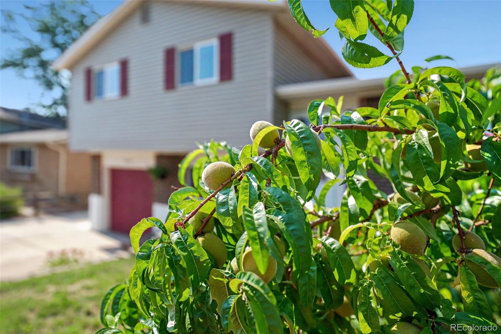 6450 W 108th Pl, Broomfield, CO 80020