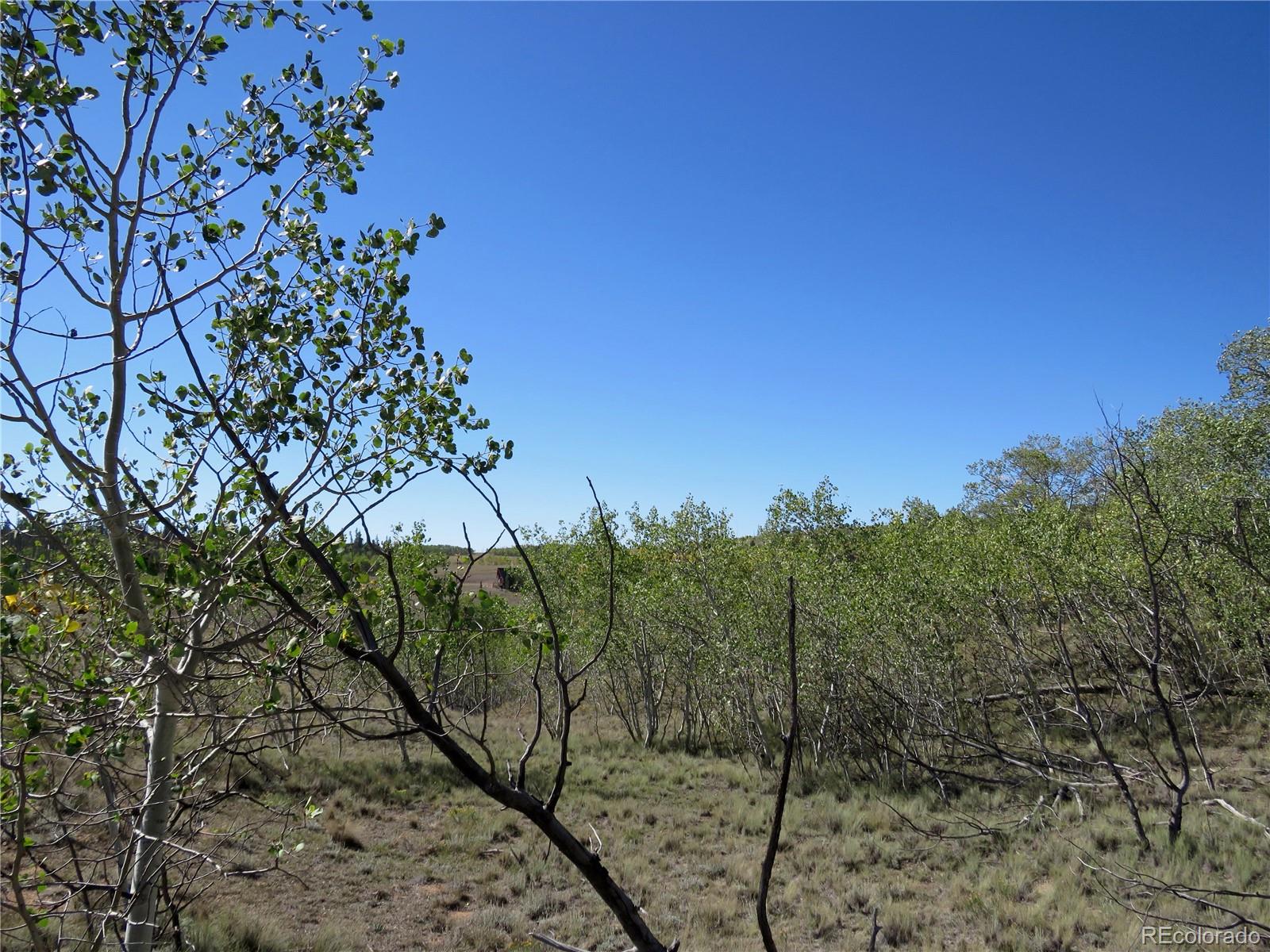 104 Hawk Way, Jefferson, CO 80456