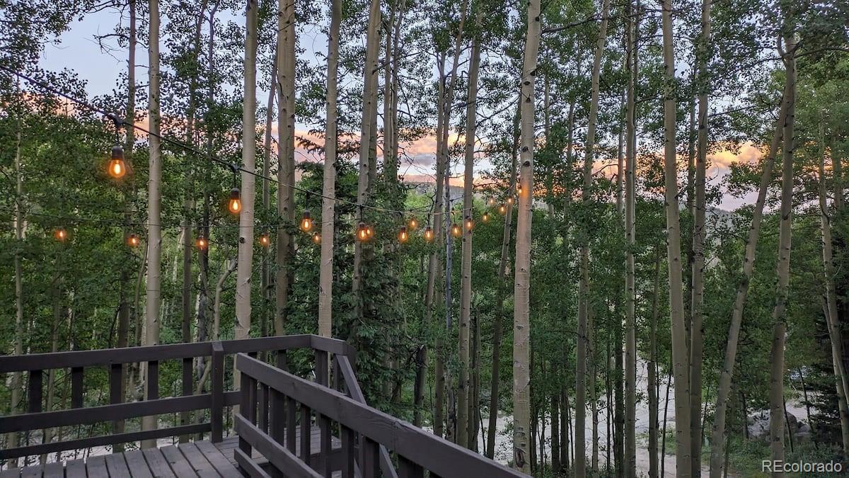 288 Roberts Rd, Alma, CO 80420