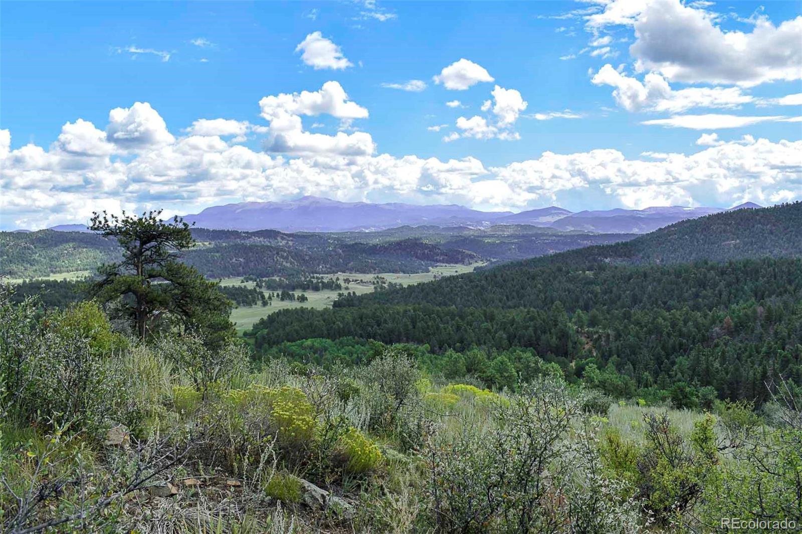 281 Deer Ln, Guffey, CO 80820