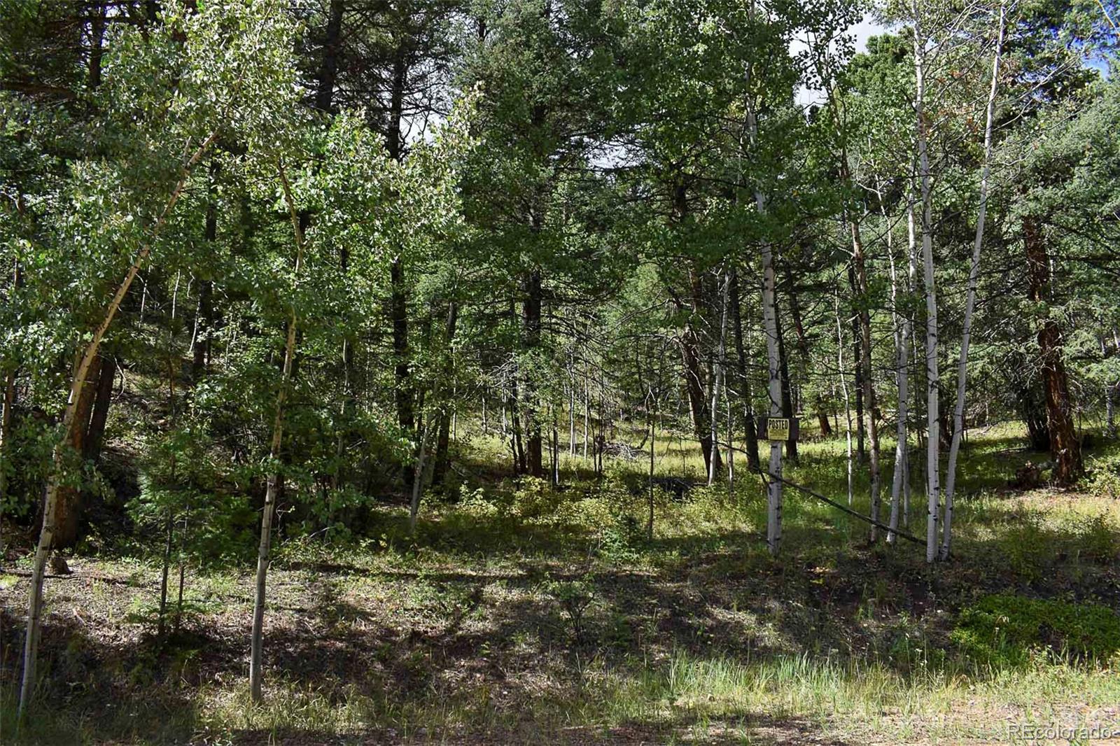 281 Deer Ln, Guffey, CO 80820