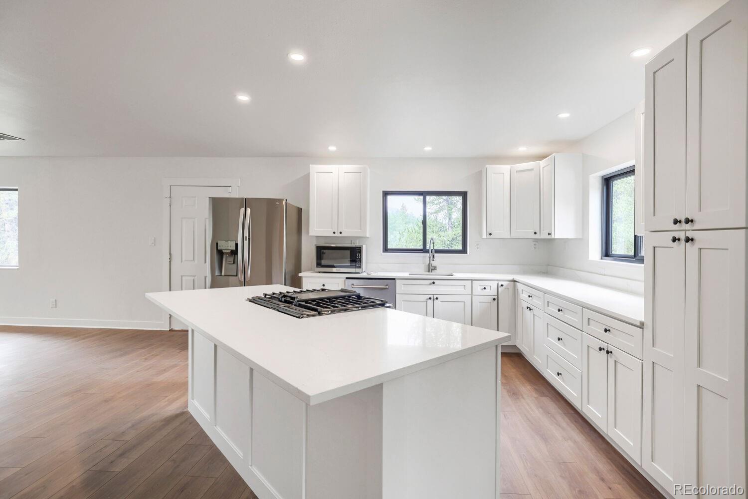 93 Prospect Dr, Alma, CO 80420