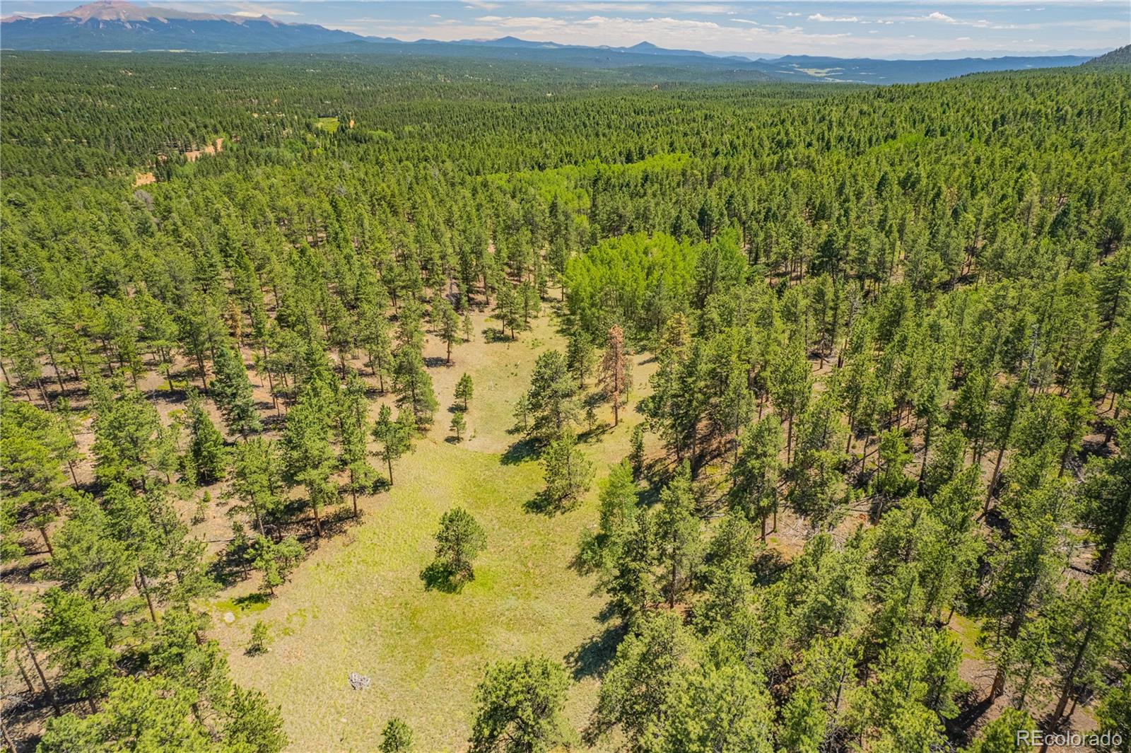 Lot 2 County Road 51, Florissant, CO 80816