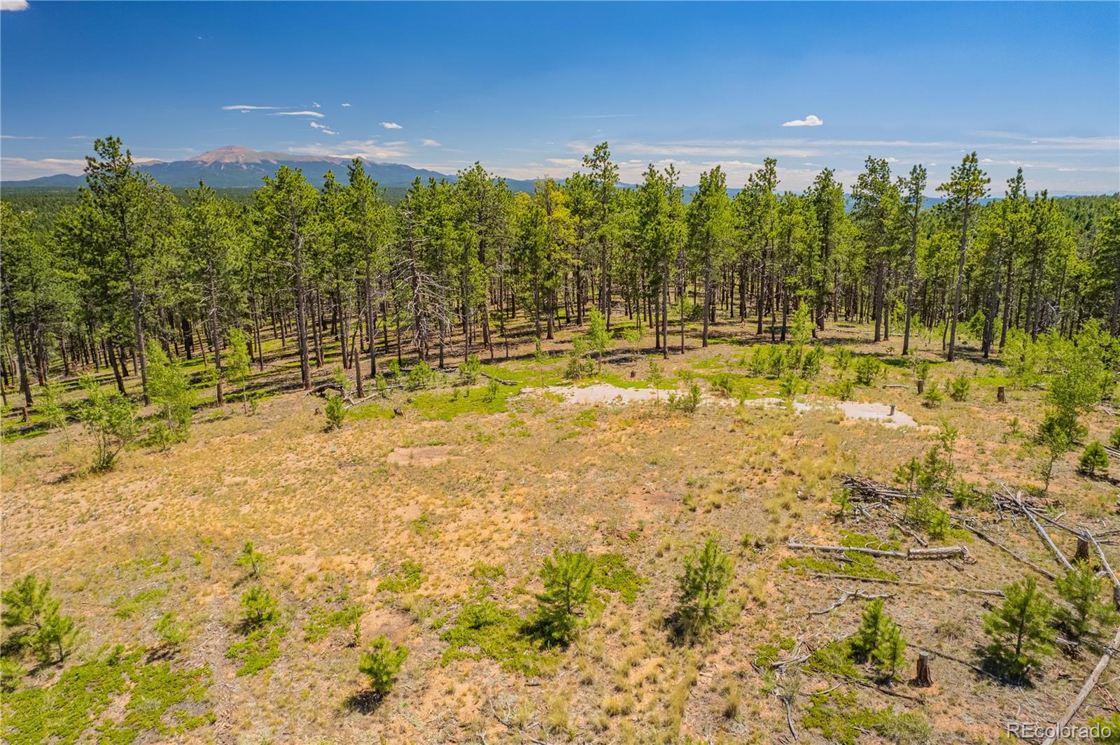 Lot 2 County Road 51, Florissant, CO 80816