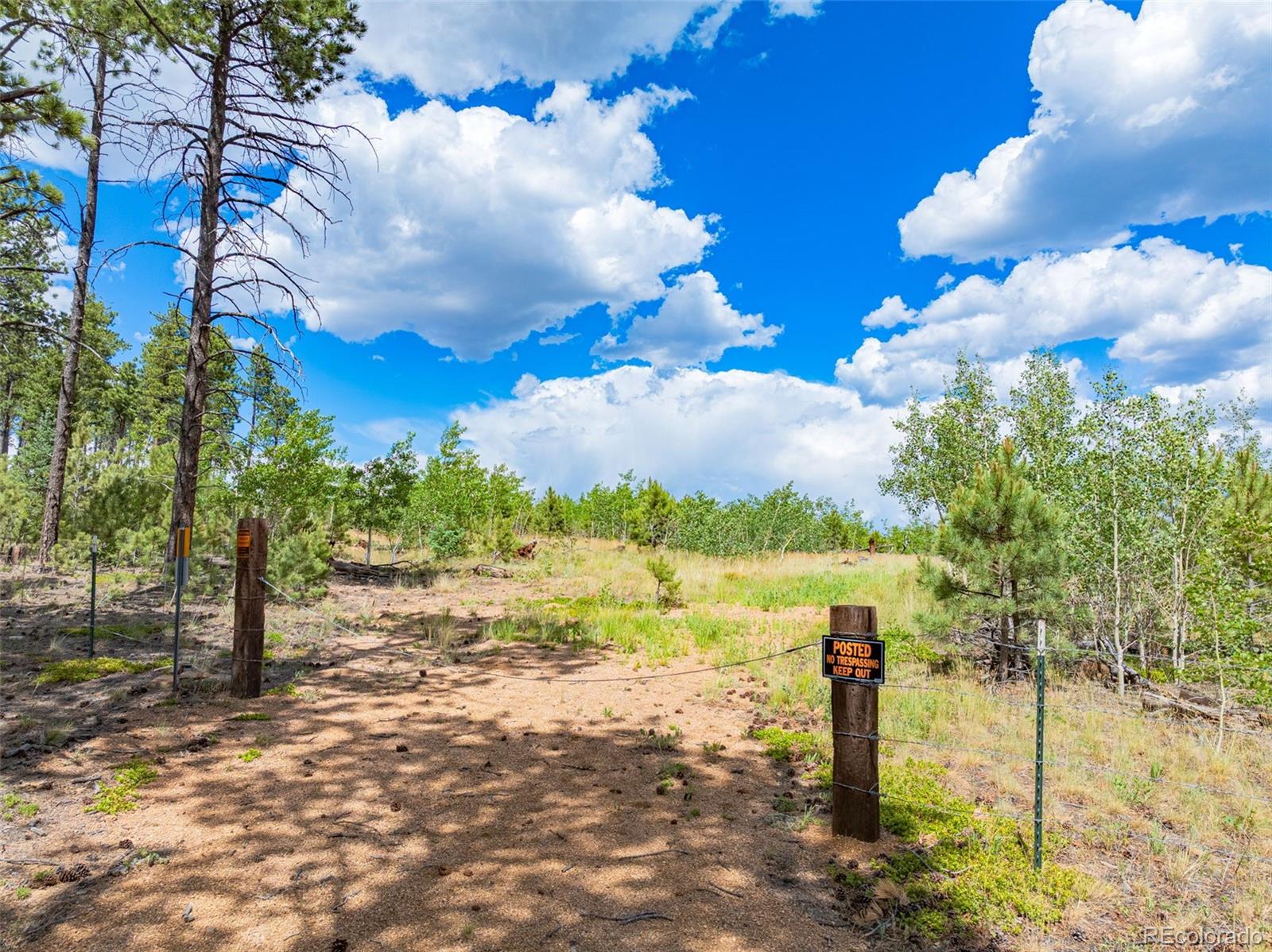 Lot 2 County Road 51, Florissant, CO 80816