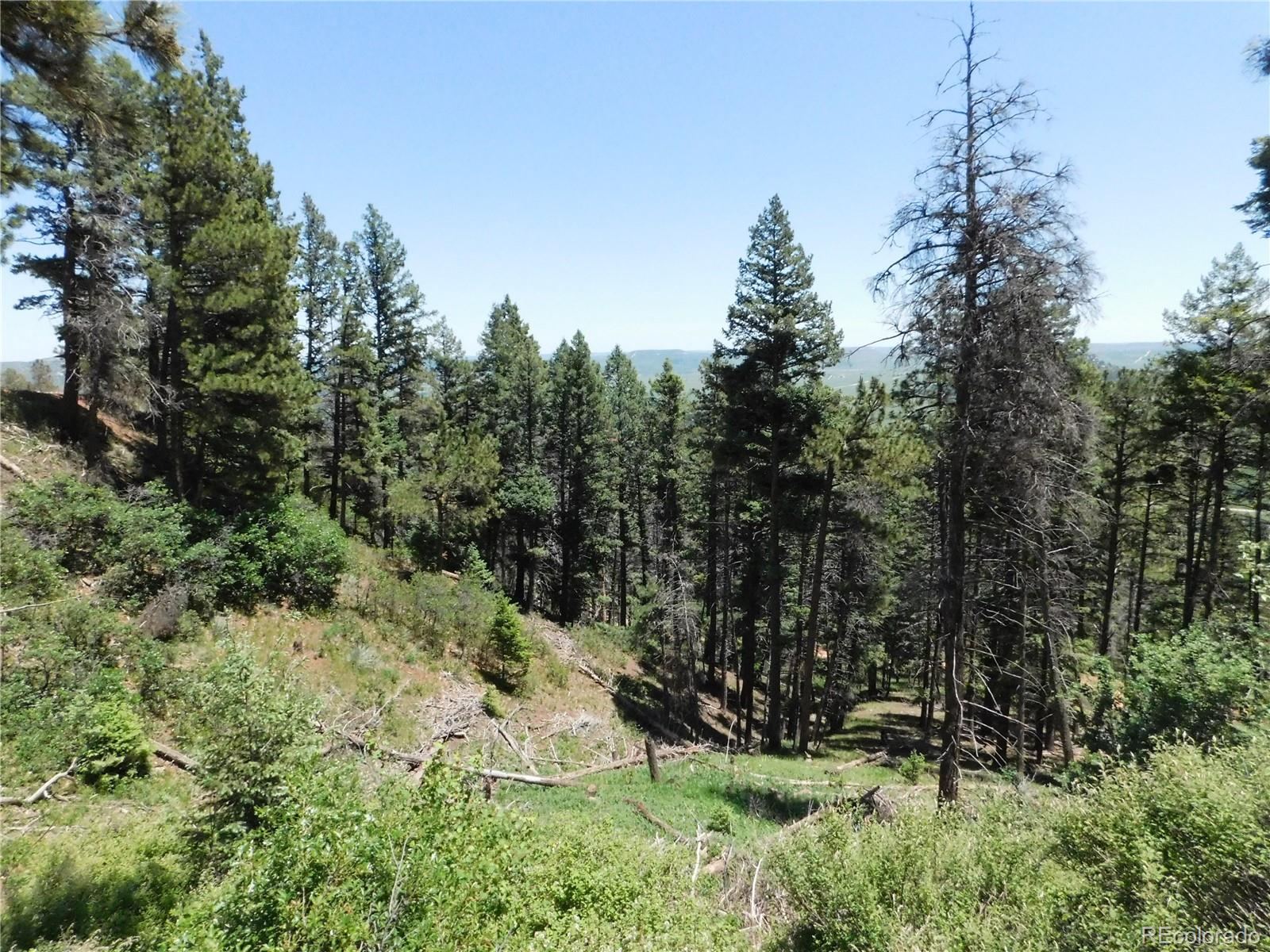 13524 Woodmoor West Dr, Larkspur, CO 80118