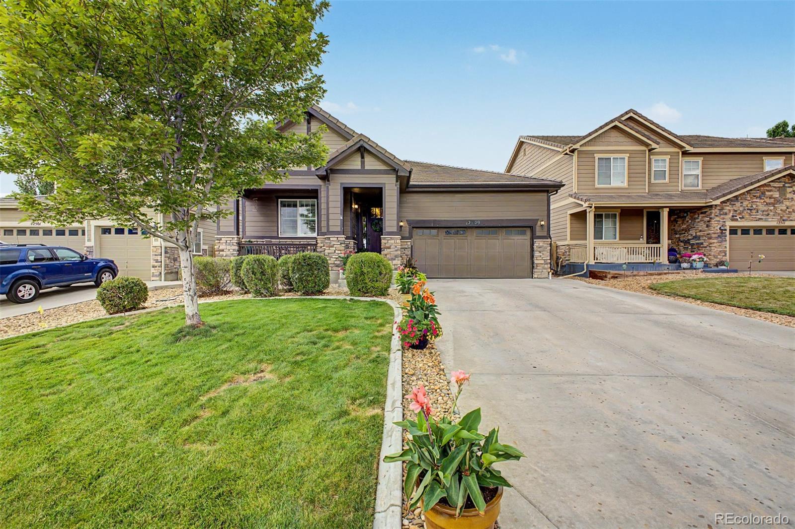 12509 Glencoe St, Thornton, CO 80241