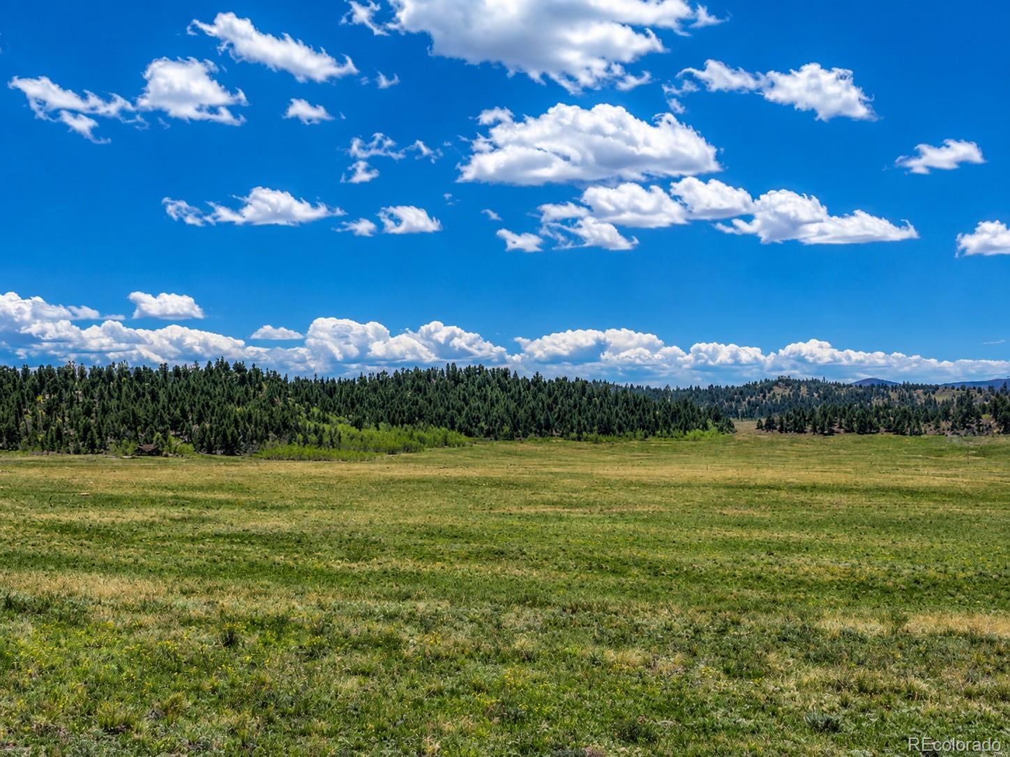 200 Cedar Ln, Hartsel, CO 80449