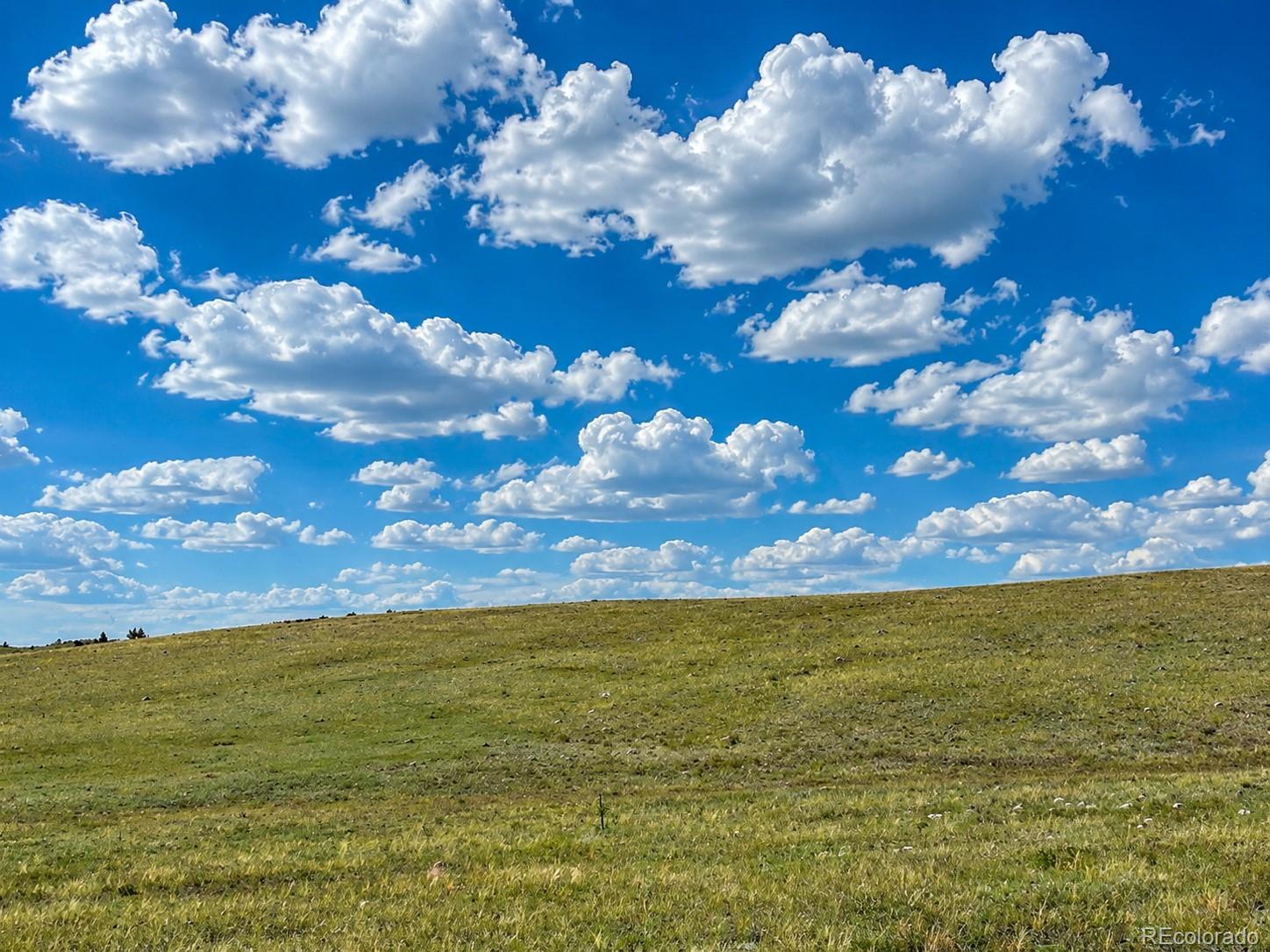 200 Cedar Ln, Hartsel, CO 80449