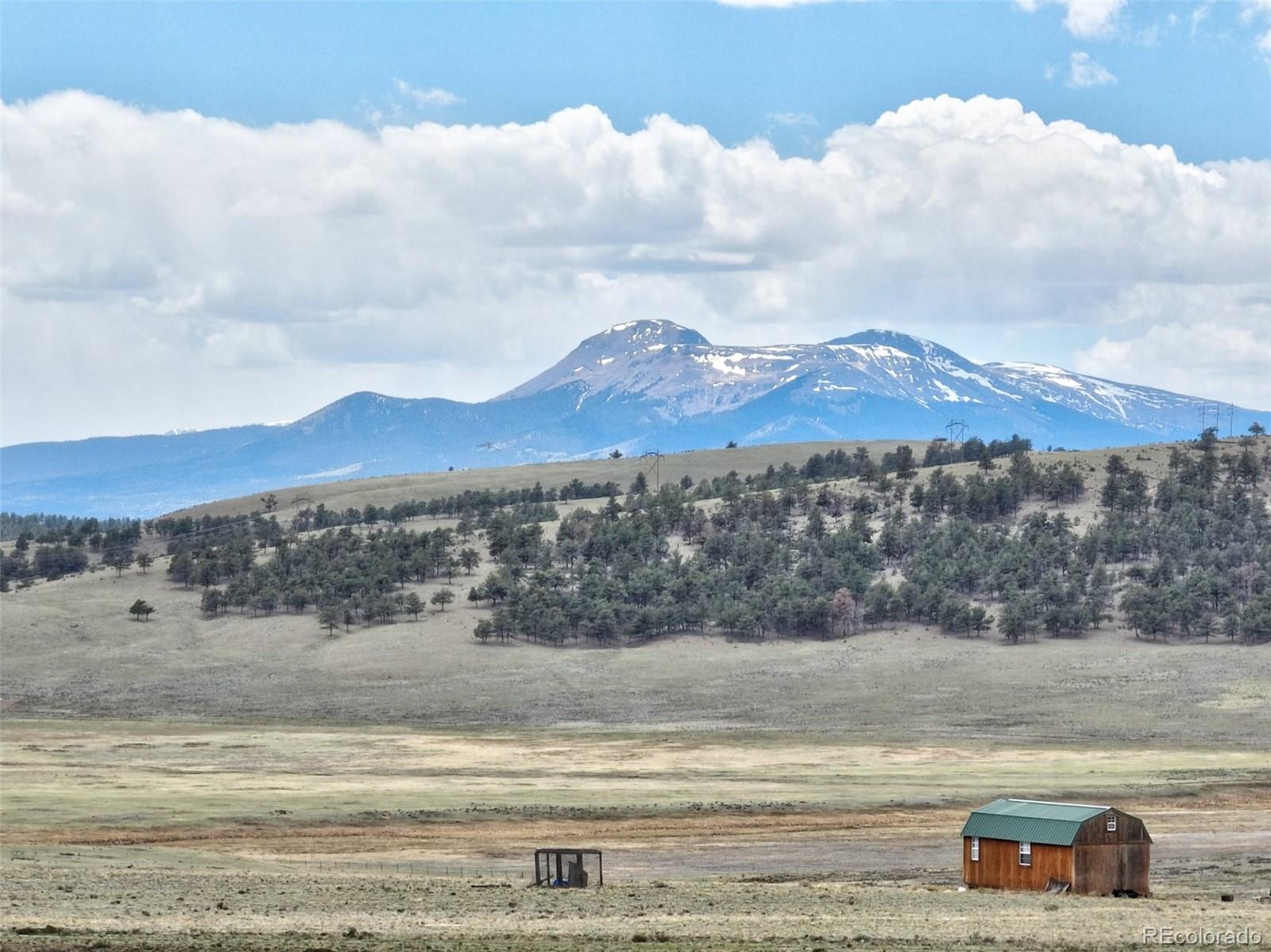 3334 Cimarron Dr, Hartsel, CO 80449