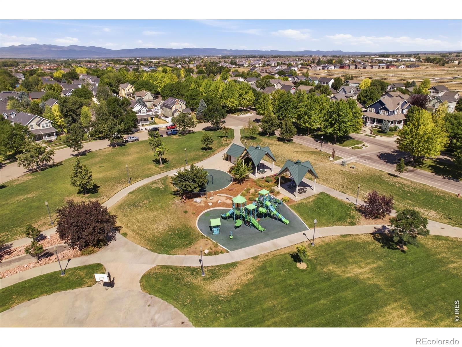 1126 Crescent Dr, Windsor, CO 80550