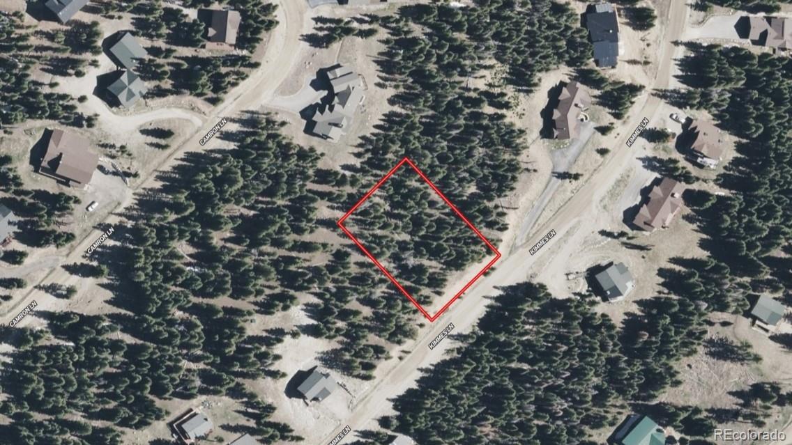 301 Kimmes Ln, Breckenridge, CO 80424