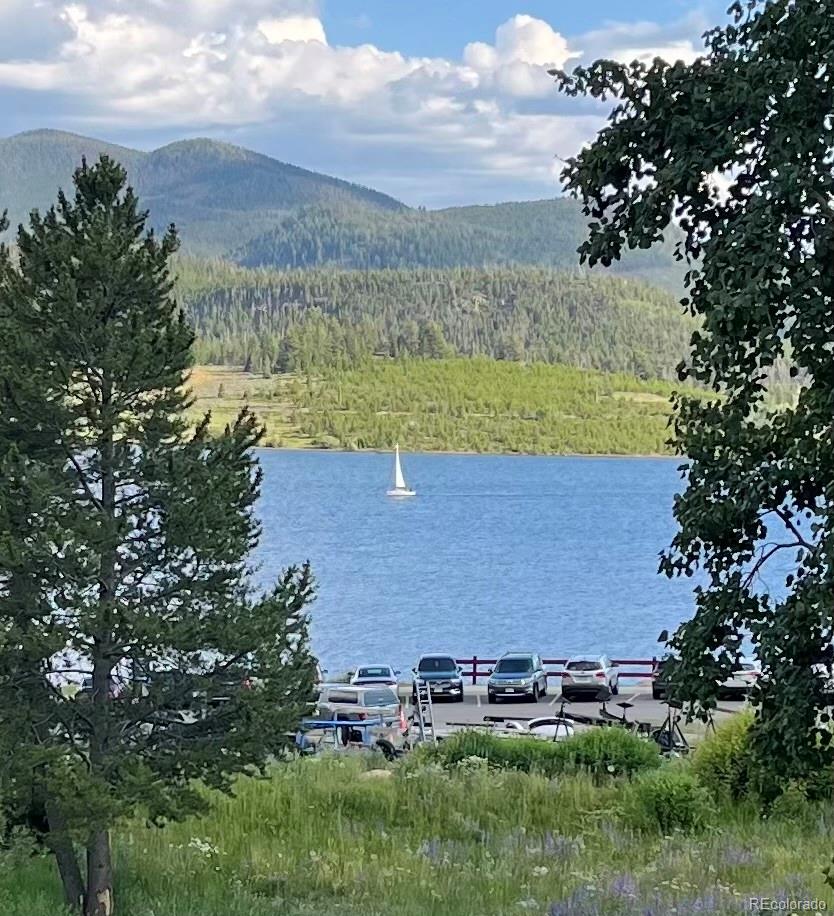 160 E La Bonte St #201, Dillon, CO 80435