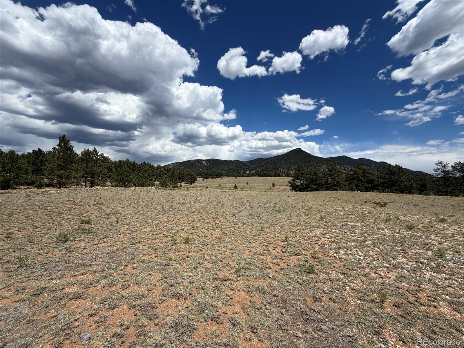 11840 Clear Creek Rd Lot 17, Hartsel, CO 80449
