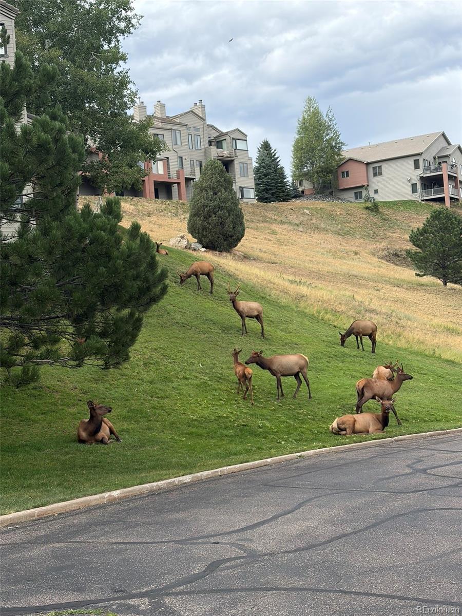 774 Ridgeside Dr, Golden, CO 80401