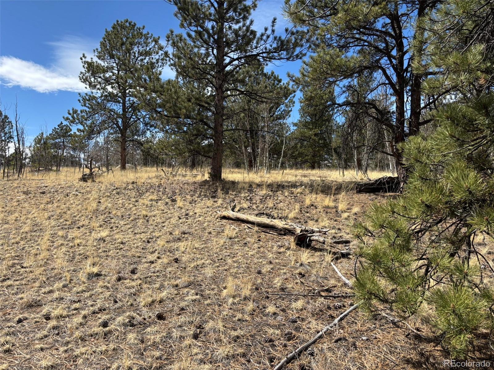 147 Bordenville Rd, Jefferson, CO 80456