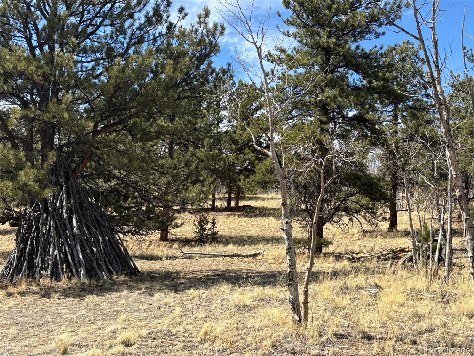 147 Bordenville Rd, Jefferson, CO 80456