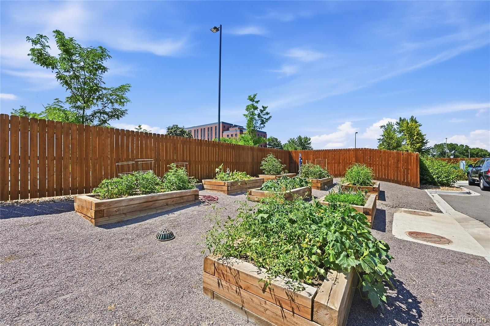 4045 S Teller St, Denver, CO 80235