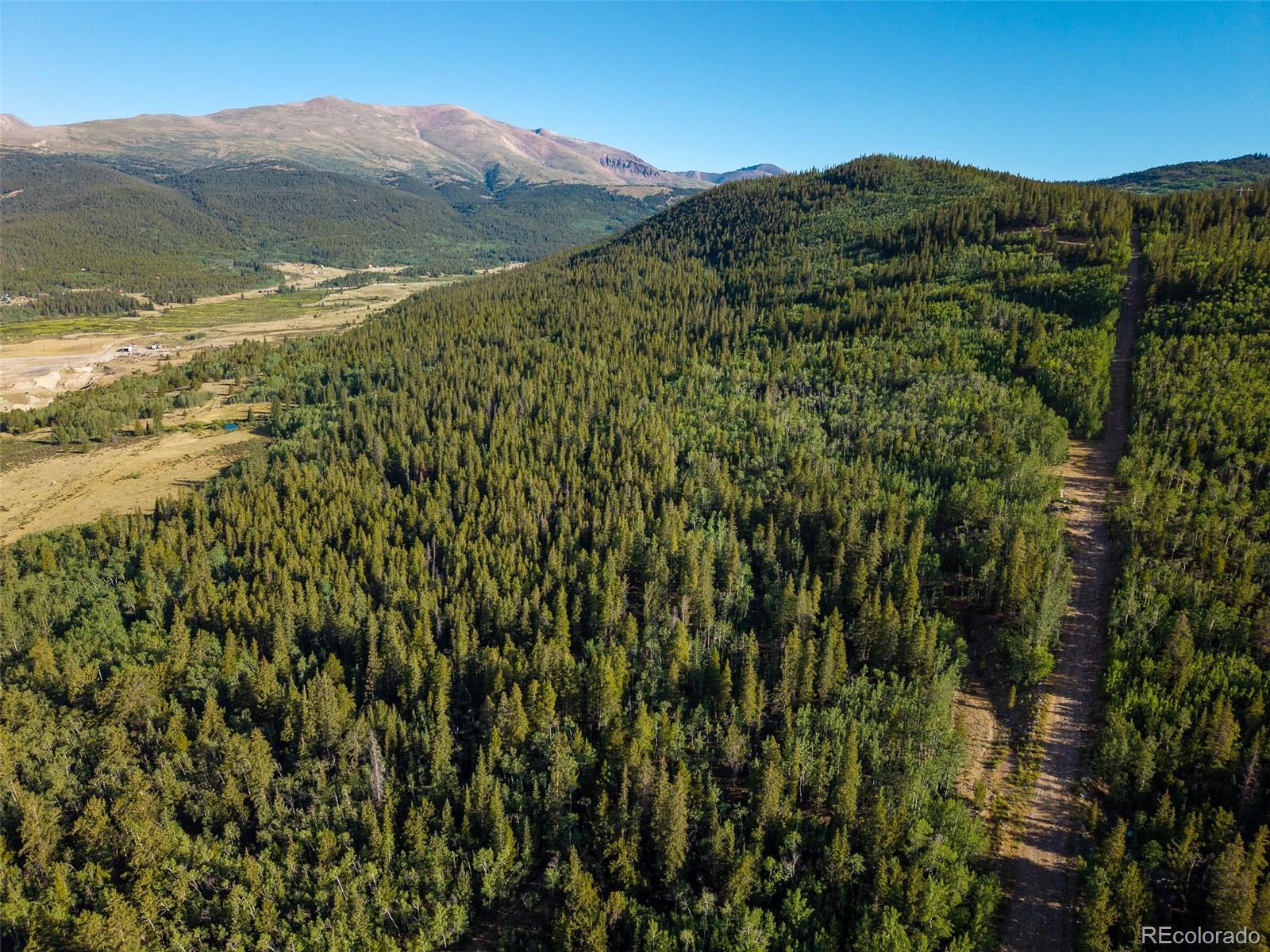 Lot 1 Snow Cap Peaks Rd, Alma, CO 80440