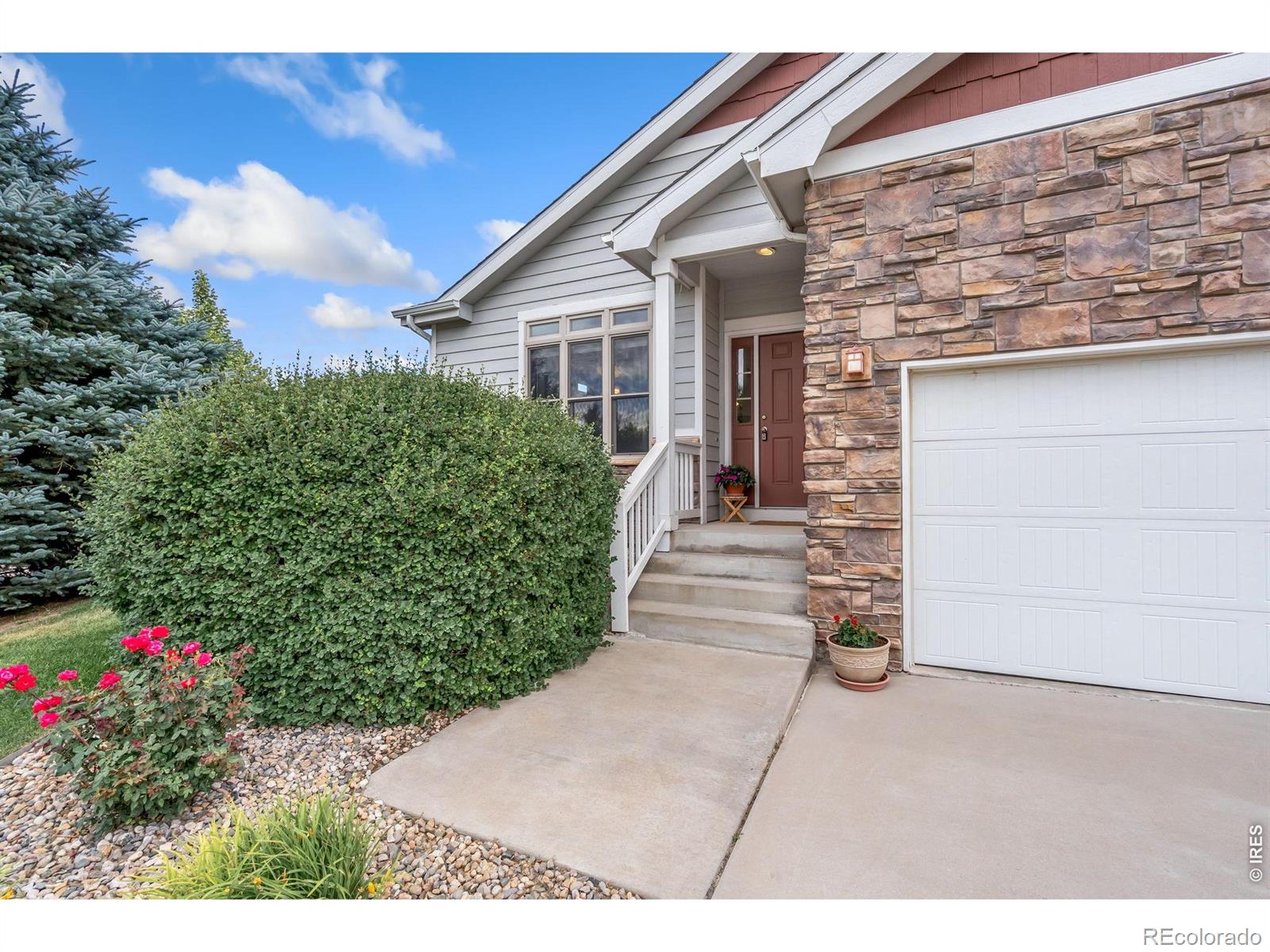 3793 Wine Cup St, Wellington, CO 80549