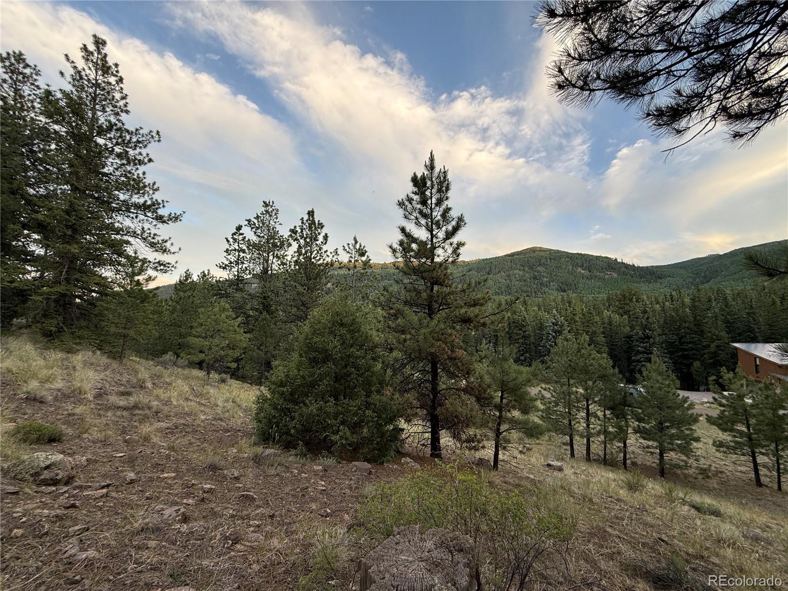 2 Beaver Trl, Antonito, CO 81120