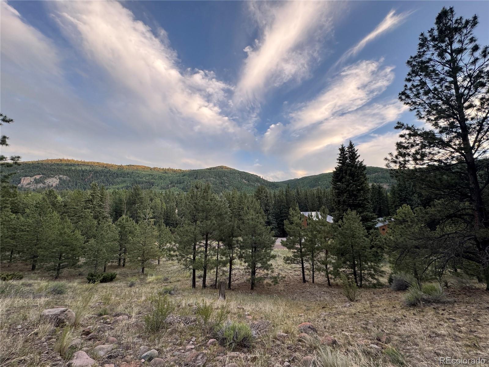2 Beaver Trl, Antonito, CO 81120