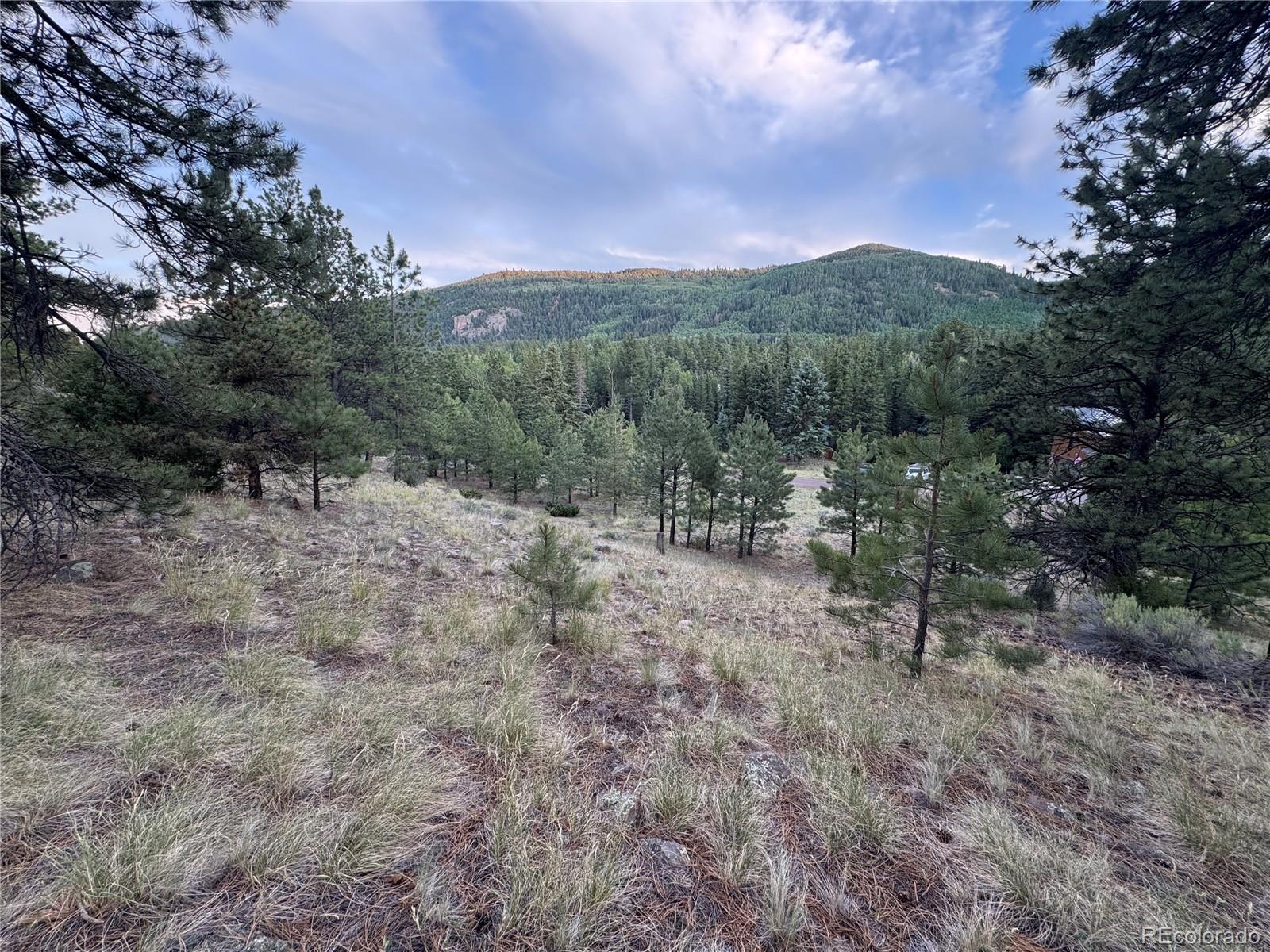 2 Beaver Trl, Antonito, CO 81120