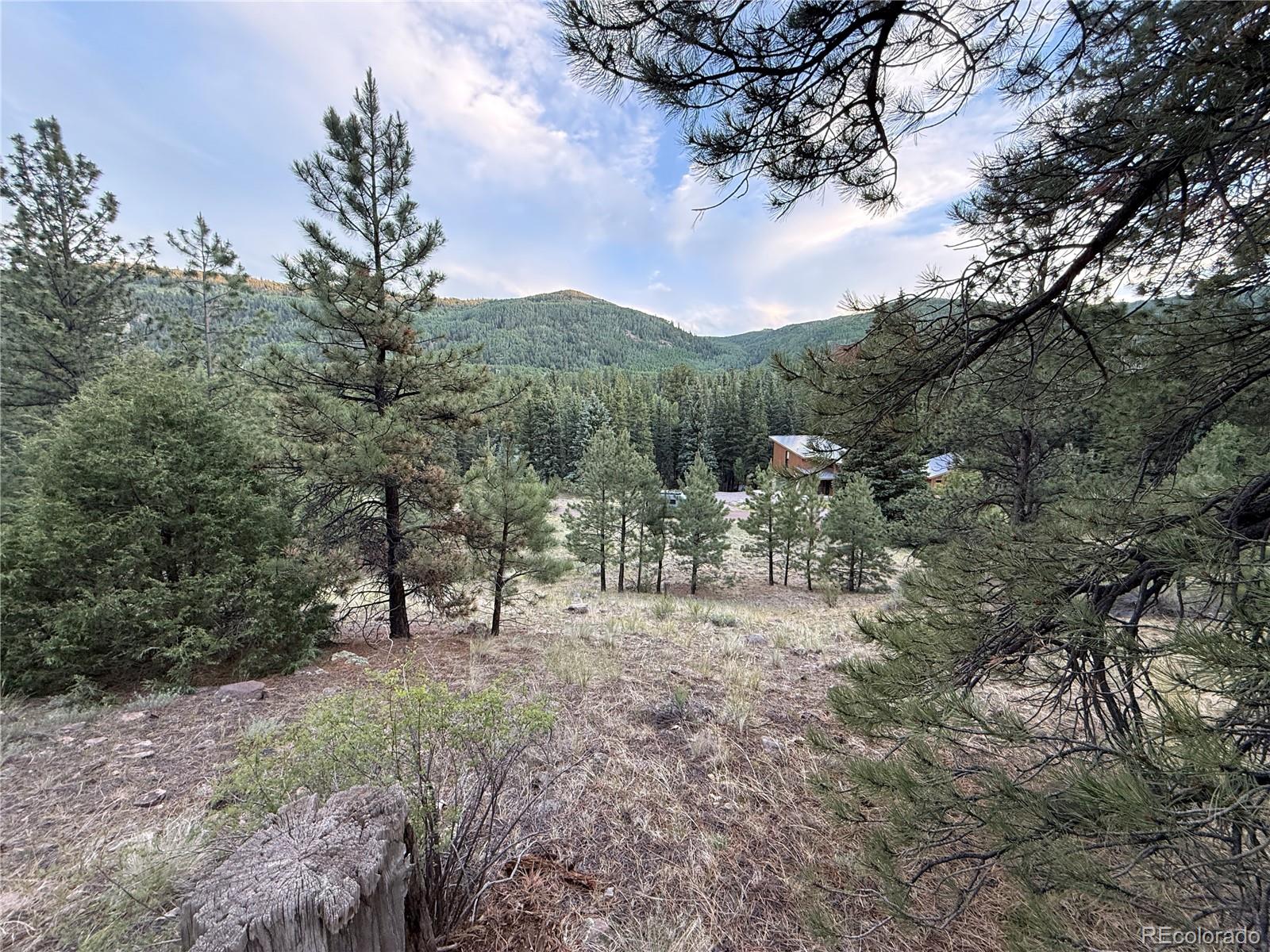 2 Beaver Trl, Antonito, CO 81120