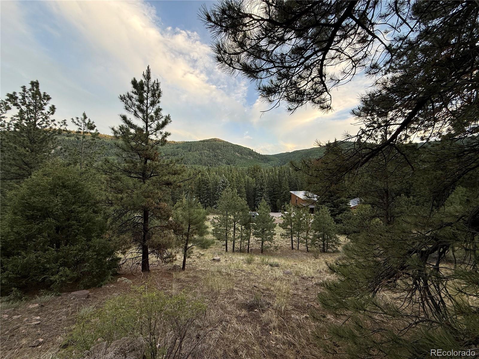 2 Beaver Trl, Antonito, CO 81120