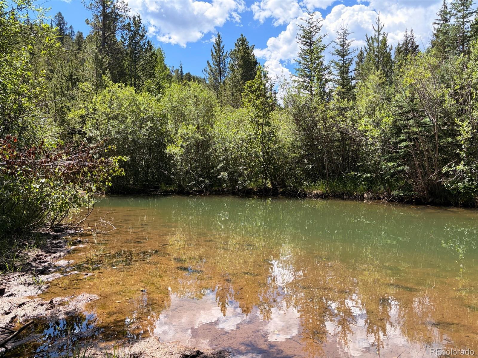Fool's Luck, Black Hawk, CO 80422