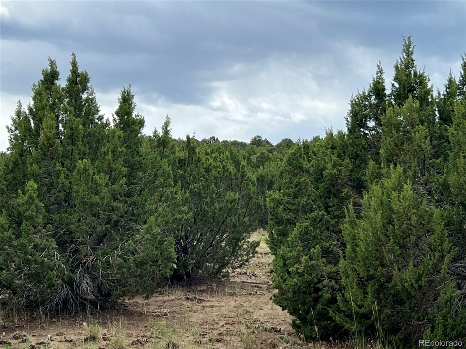 Sunrise Rd Lot 80, Walsenburg, CO 81089