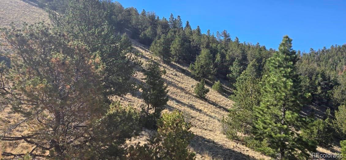 0 County Road 41g, Center, CO 81125