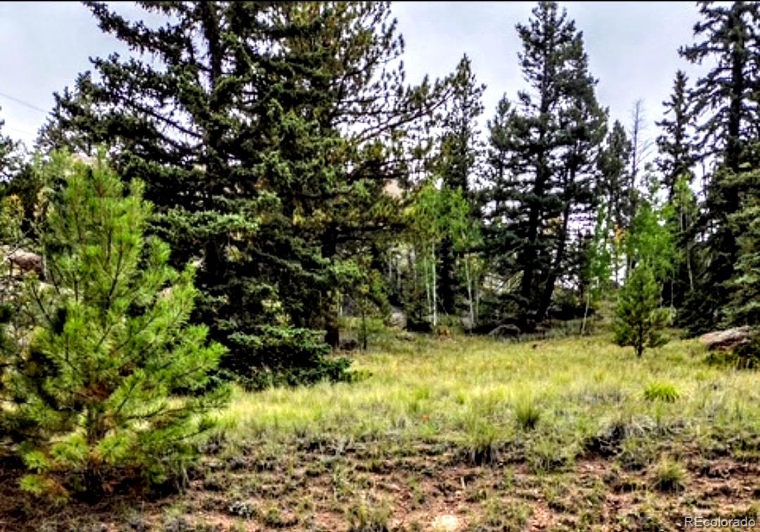 987 Eagle Rock Rd, Florissant, CO 80816