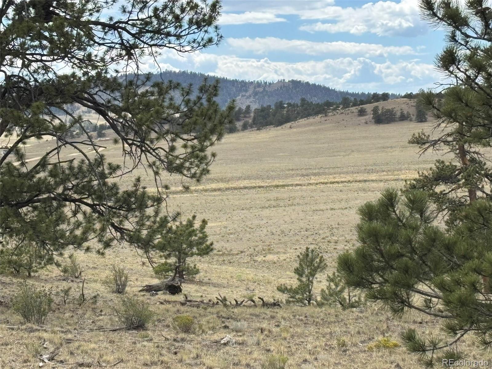 99 Arapaho Ct, Hartsel, CO 80449
